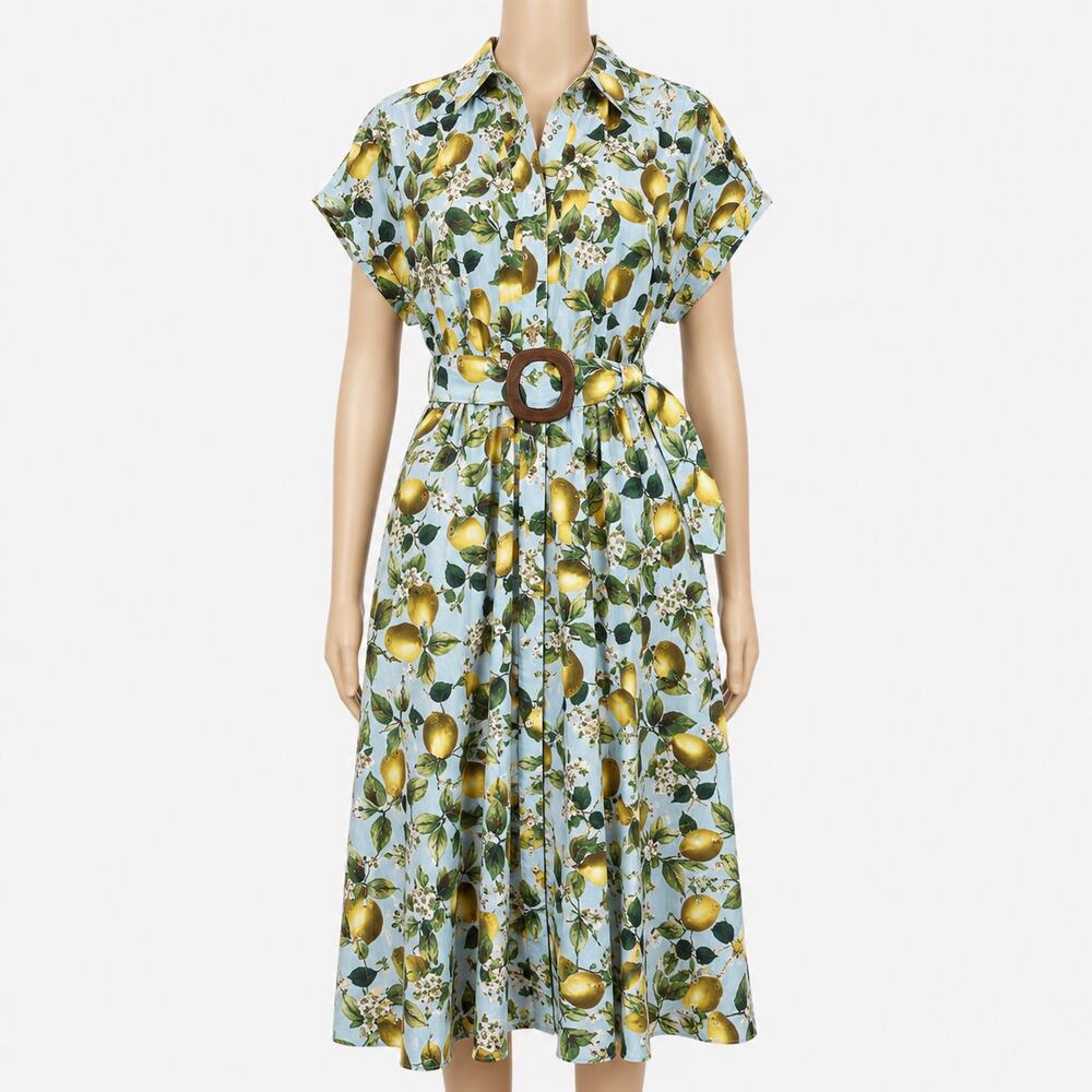 Zara Lemon Print Midi Shirt Dress Womens XS Blue Cotton Belted Short Sleeve NWOT